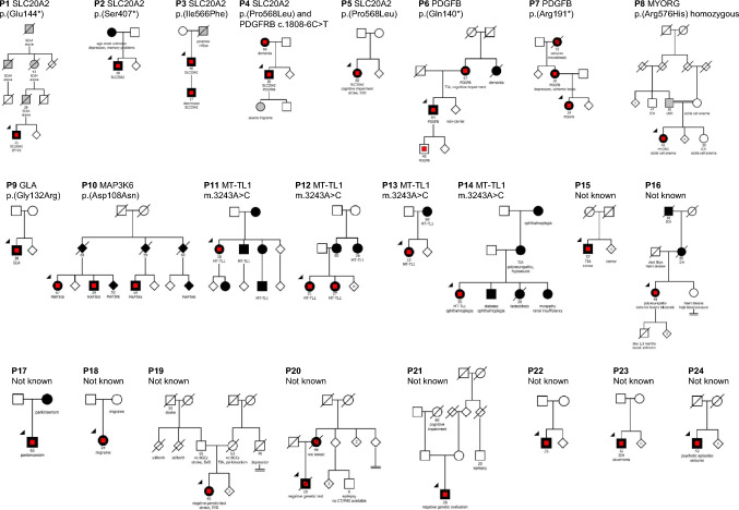 Genetic background of neurological disorders with basal ganglia calcification.
