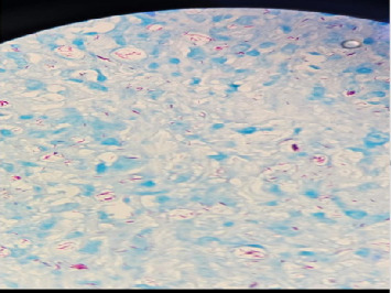 Abstract Image