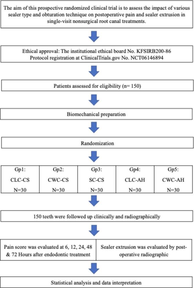 The effect of different obturation techniques on post-obturation pain and sealer extrusion in single-visit root canal treatment: a prospective clinical randomized study.