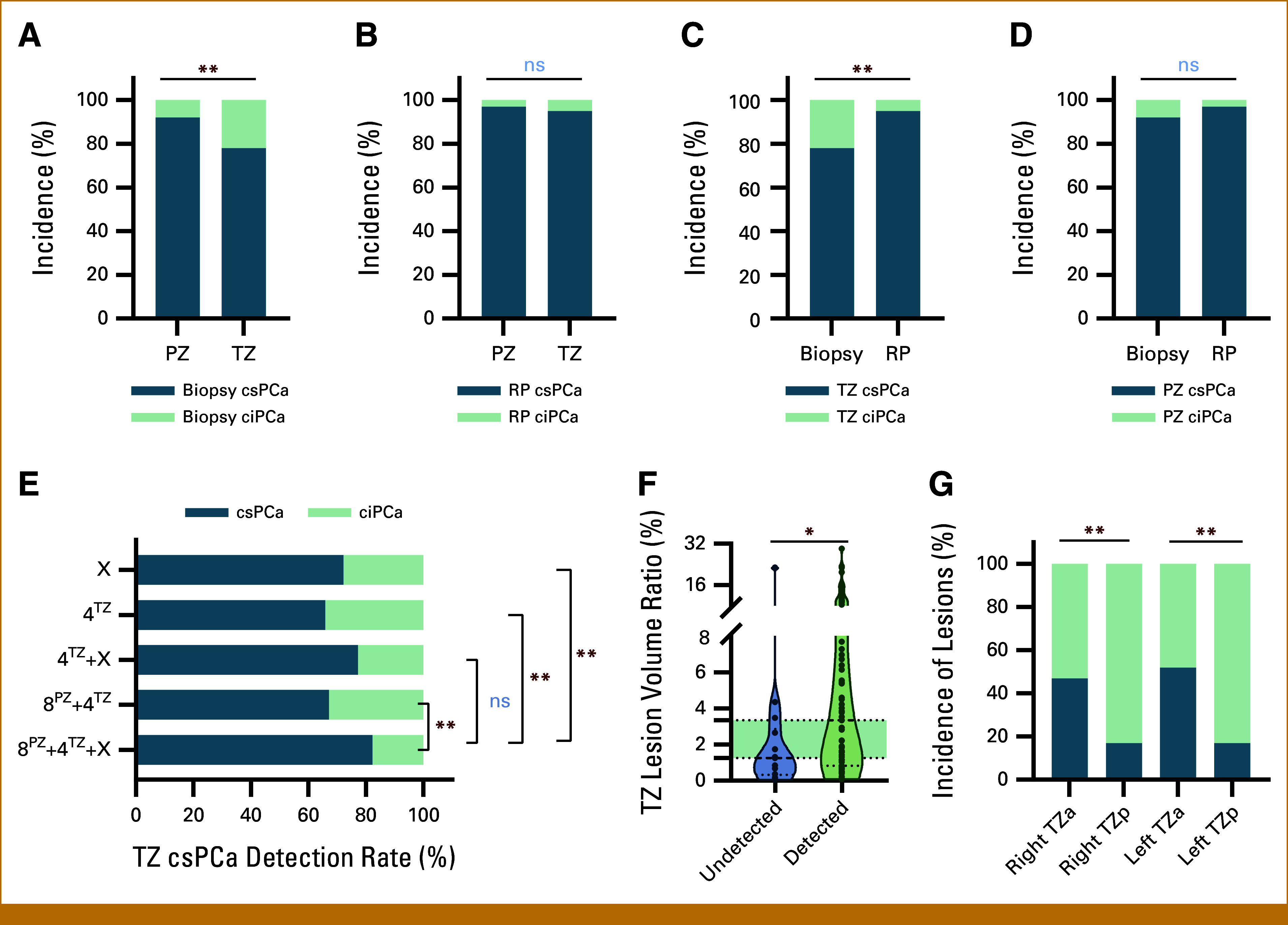 Optimized Biopsy Strategy for Transition Zone Prostate Cancer With Enhanced Perilesional Sampling: A Retrospective Analysis and Clinical Trial Validation.