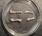 Novel Experimental Approach to Investigate Immune Control of Vascular Function: Co-culture of Murine Aortas With T Lymphocytes or Macrophages.