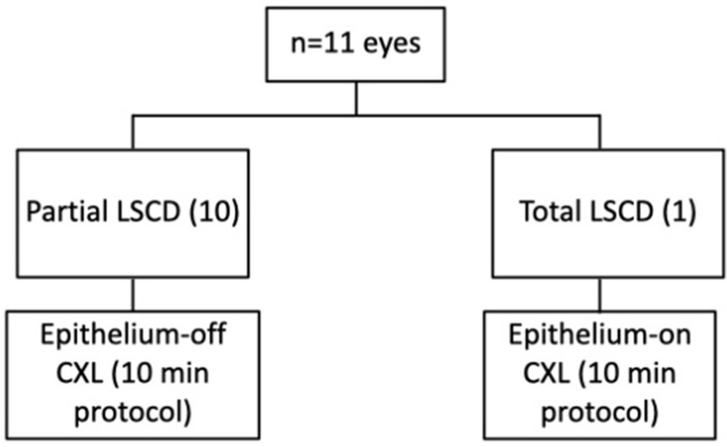 Outcomes of Collagen Crosslinking in Patients with Keratoconus and Co-Existent Limbal Stem Cell Deficiency.