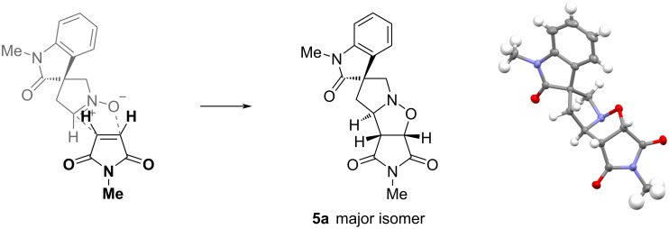 Preparation of spirocyclic oxindoles by cyclisation of an oxime to a nitrone and dipolar cycloaddition.