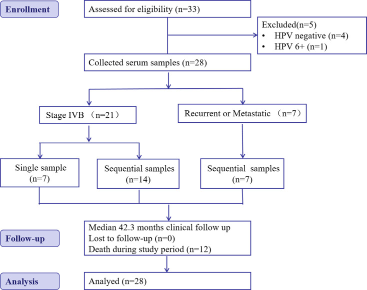 Monitoring circulating cell-free HPV DNA in metastatic or recurrent cervical cancer: clinical significance and treatment implications.