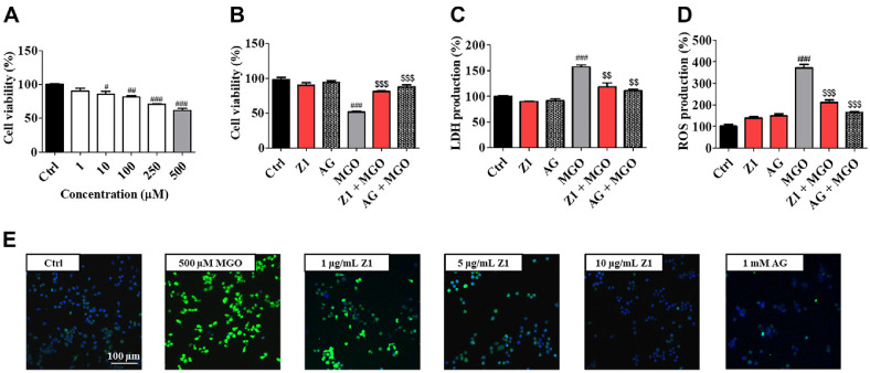 Mitigation of <i>Bifidobacterium longum</i> Z1 on Methylglyoxal-Induced Glycotoxicity in Neuron-2A Cells by Enhancing Detoxification Pathways.