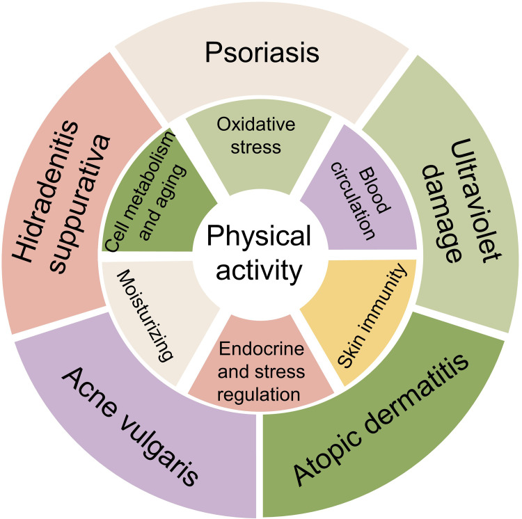 The Effects of Physical Activity on Skin Health: A Narrative Review.