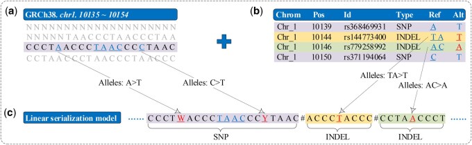 Panaln: indexing pangenome for read alignment.