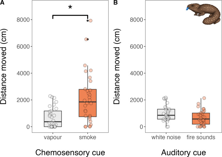 From anecdote to evidence: experimental validation of fire-cue recognition in Australian sleepy lizards.