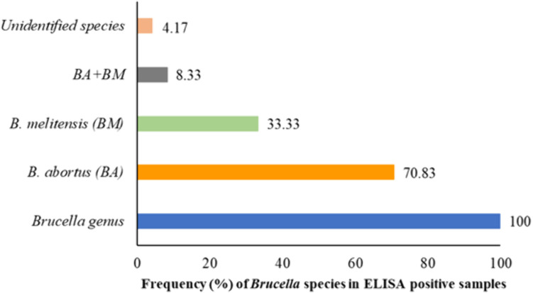 Exploring the status of brucellosis in pregnant women presented with febrile illness at different healthcare facilities of Vehari and Lodhran zones of Pakistan.