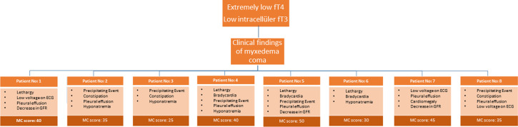 A Rare Endocrinological Emergency in Children with Hypothyroidism: Clinical Evaluation of Cases Presenting with Myxedema Coma.