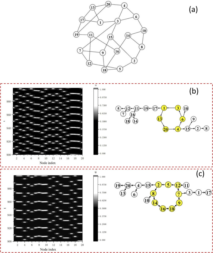 Competitive oscillatory dynamics in excitable neuron networks.