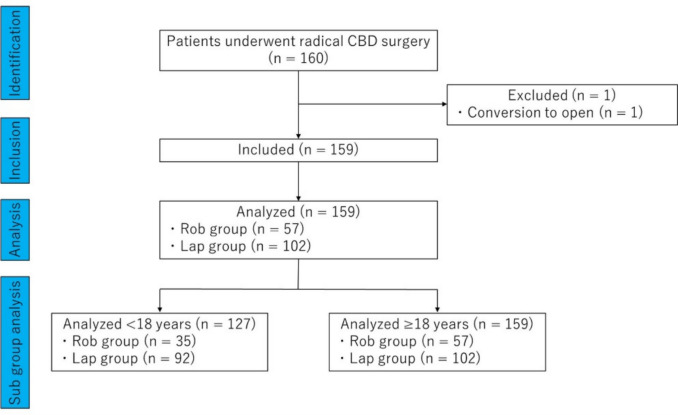 Safety and efficacy of robot-assisted bile ductoplasty and intrapancreatic bile duct resection in congenital biliary dilatation: a single-center retrospective cohort (2013-2024).