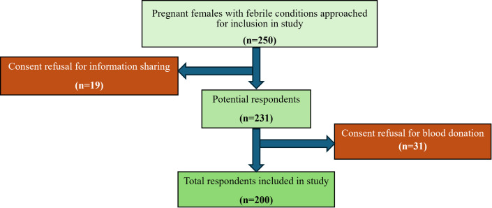 Exploring the status of brucellosis in pregnant women presented with febrile illness at different healthcare facilities of Vehari and Lodhran zones of Pakistan.