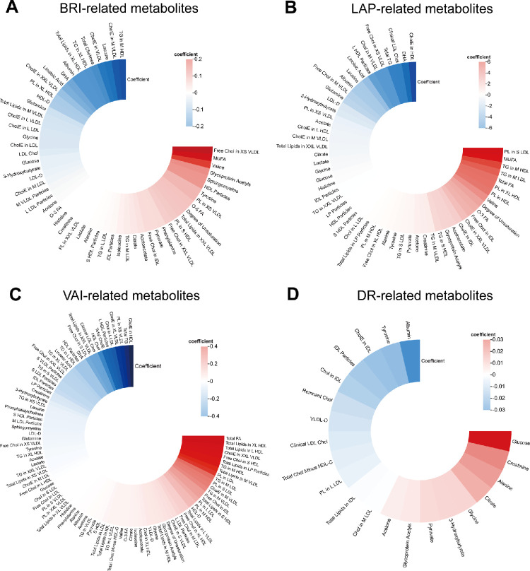 Novel Visceral Obesity Indicators and Associated Metabolic Fingerprint in Incident Diabetic Retinopathy.