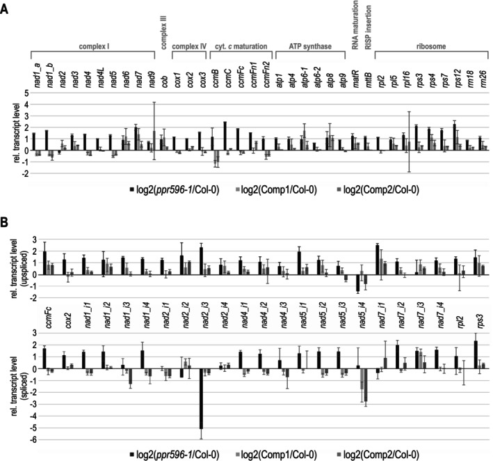PPR596 Is Required for nad2 mRNA Splicing and Complex I Biogenesis in Mitochondria of Arabidopsis thaliana.