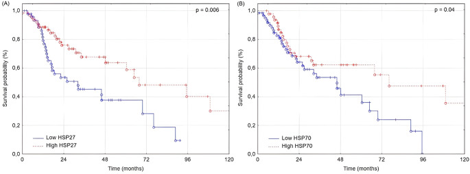 Low expression of HSP27 and HSP70 predicts poor prognosis in laryngeal squamous cell carcinoma.