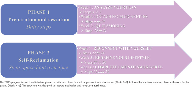 Development and preliminary evaluation of a structured and personalized self-help smoking cessation program: A prospective observational study.