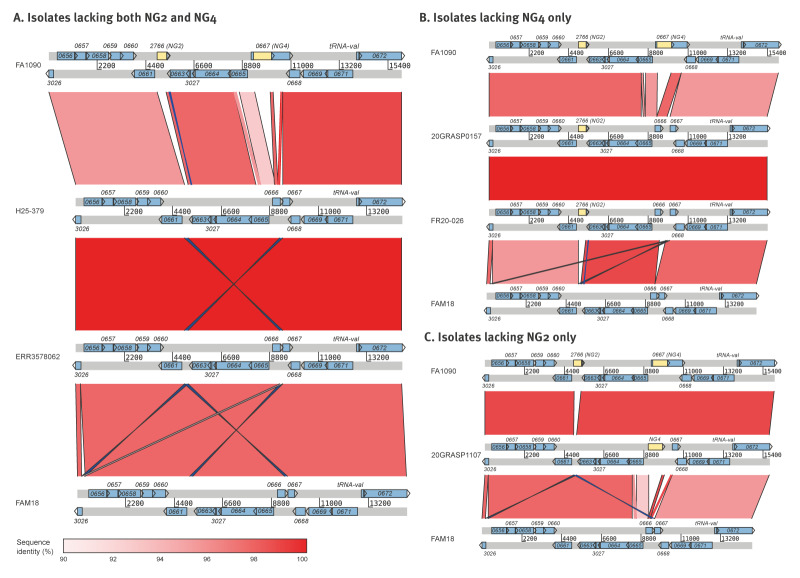 Detection and characterisation of Xpert CT/NG assay <i>Neisseria gonorrhoeae</i> diagnostic escape mutants, England, June 2025.
