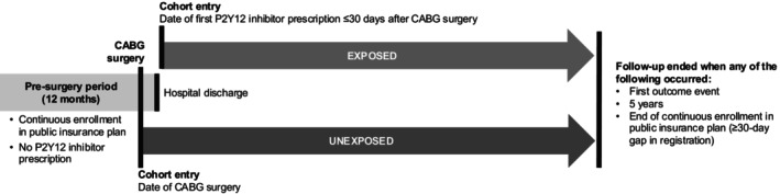 Effect of P2Y12 Inhibitors on Major Adverse Cardiovascular Events After Coronary Artery Bypass Graft Surgery: A Population-Based Cohort Study.