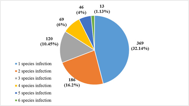 Gastrointestinal parasites in pigs in Brazil: prevalence, risk factors, diagnosis, and extension activities.