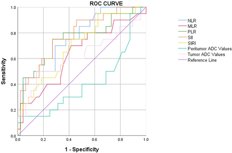 The Predictive Value of ADC Values, Degree of Edema and the Systemic Immune-Inflammation Index for Early Postoperative Recurrence in High-Grade Gliomas.