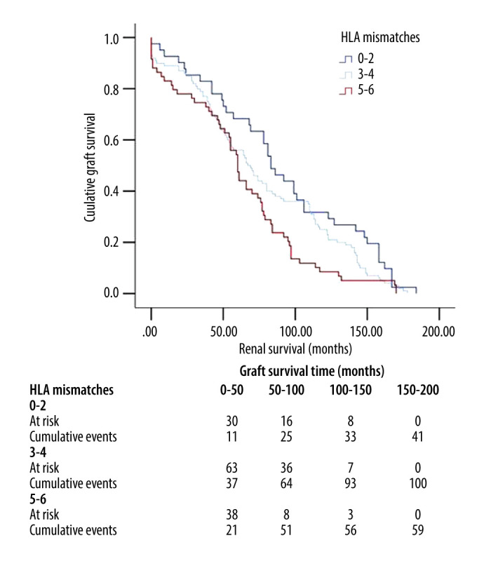 Effect of Recipient Variables on Transplant Survival Following Marginal Kidney Donation: Analysis of a Mate Kidney Cohort.