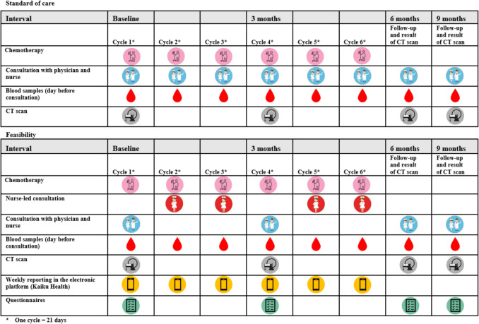 Systematic nurse-led consultations based on electronic patient-reported outcomes for women with endometrial or ovarian cancer during chemotherapy-a feasibility study.