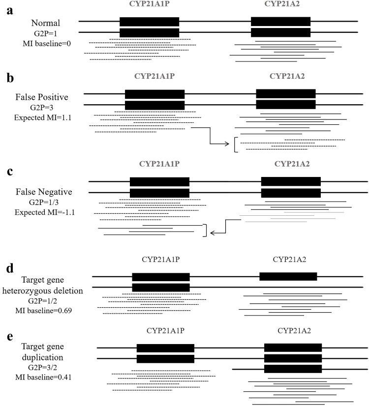 Optimized Homologous Sequence Alignment for the Identification of CYP21A2 Variants in 21-Hydroxylase Deficiency Using Next-Generation Sequencing Technology.