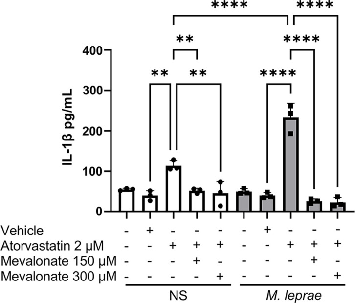 Impact of protein prenylation inhibition on <i>Mycobacterium leprae</i> viability and IL-1β production in infected macrophages.