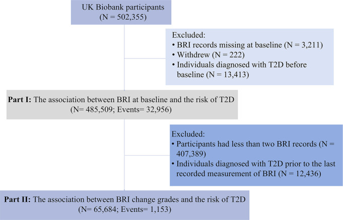 Baseline and longitudinal changes of body roundness index and incident type 2 diabetes: evidence from the UK Biobank cohort.