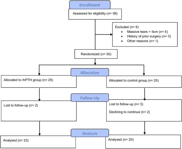 Effectiveness of Teriparatide (rhPTH) in Enhancing Functional Recovery After Arthroscopic Rotator Cuff Repair: A Triple-Blind Randomized Clinical Trial.