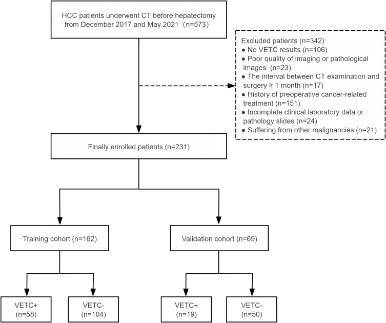 CT-Based Radiomics Features Combined with AFP for Predicting Vessels Encapsulating Tumor Clusters and Prognosis of Hepatocellular Carcinoma.