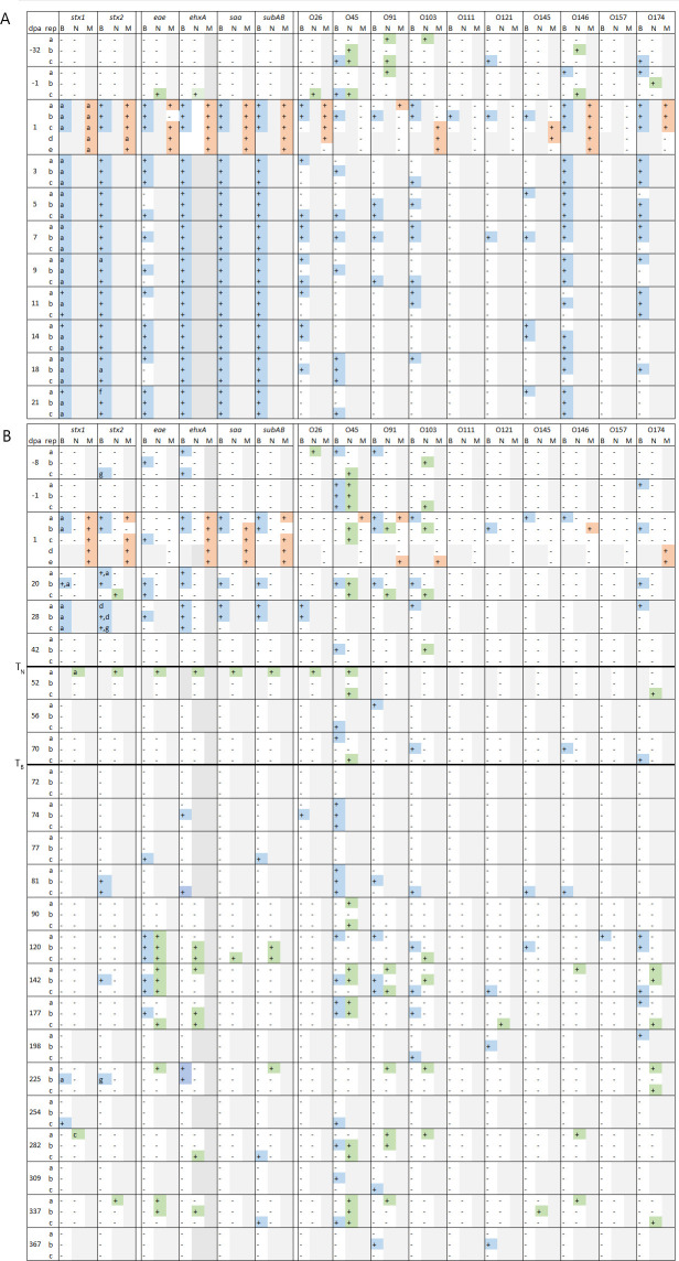 Long-term impacts of untreated dairy manure on the microbiome and Shiga toxin-producing <i>Escherichia coli</i> persistence in agricultural soil.