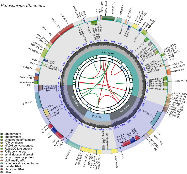 The complete chloroplast genome sequence of <i>Pittosporum illicioides</i> Makino, 1900 (Pittosporaceae).