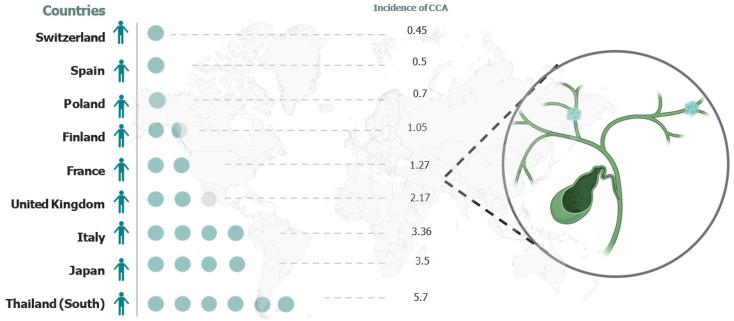 Changing patterns of cholangiocarcinoma and gallbladder cancer: A regional perspective from Northeastern Italy.