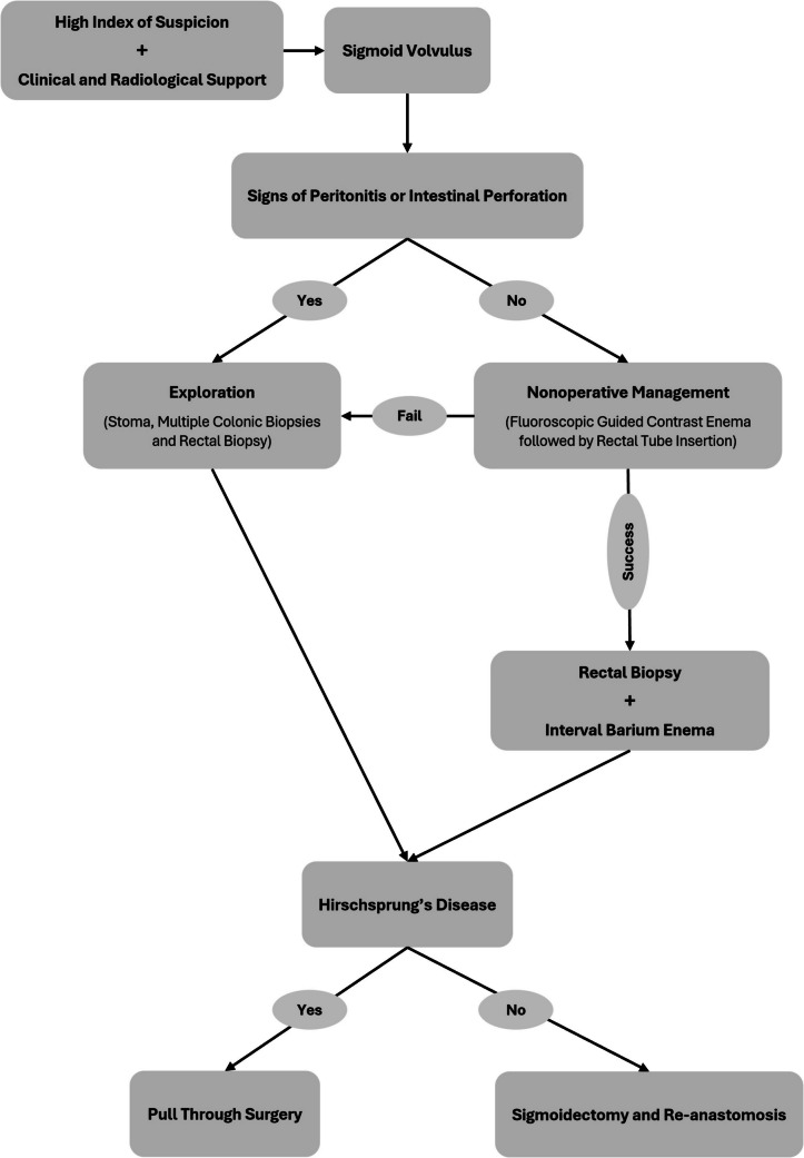 Colonic Volvulus Associated with Hirschsprung's Disease in the Pediatric Age.
