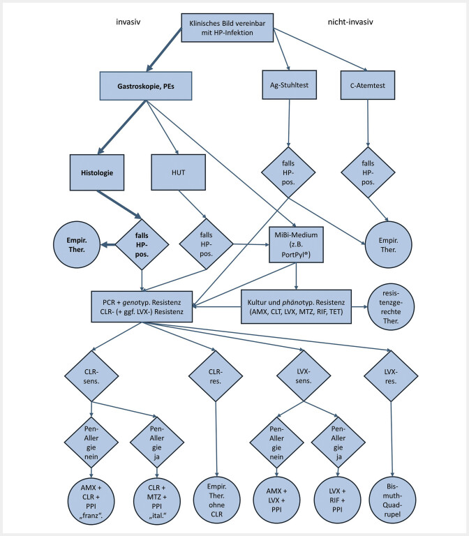 [Establishment and optimization of a routinely resistance testing of Helicobacter pylori to encourage a resistance-guided therapy].