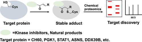 Proteome-Wide Ligand and Target Discovery by Using Covalent Probes and Natural Products