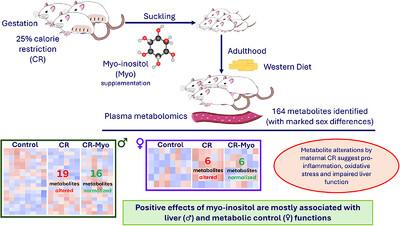 Sex-Specific Lasting Metabolome Effects of Adverse Gestational Conditions and Prevention by Myo-Inositol Supplementation During Suckling