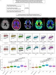 Periventricular gradient of normal-appearing white matter in normal aging and multiple neurological diseases