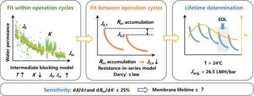 Predictive modeling of membrane lifetime for sustainable management of full-scale membrane bioreactors