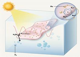 Facile synthesis of Ru atom clusters on MXene nanosheets through gamma-ray radiation for plasma boosting hydrogen evolution reaction
