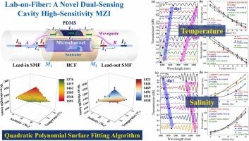Lab-on-fiber: A novel high-sensitivity mach-zehnder interferometer with dual-sensing cavity in hollow-core fiber for simultaneous measurement of seawater temperature and salinity