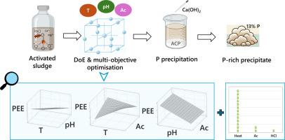 Targeting phosphorus recovery strategies for activated sludge: DoE and multi-objective optimisation to analyse key process factors and associated costs