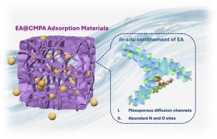 In-situ confinement of ellagic acid within conjugated microporous poly(aniline)s for efficient capture mercury (II)