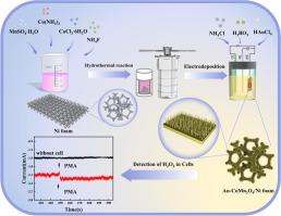 Self-supported Au–CoMn2O4/Ni foam heterostructure sensor for efficient H2O2 detection and real-time tumor biomarker monitoring