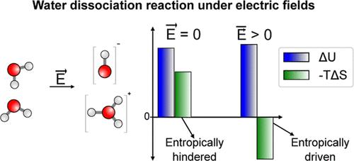 Entropy Governs the Structure and Reactivity of Water Dissociation Under Electric Fields