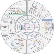 Optimizing CO2 electroreduction: theoretical insights for enhancing efficiency across elementary steps