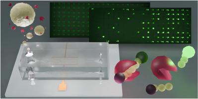 Evaluation of single-cell heterogeneity and invasive potential in cancer cells via secreted protease activity assay