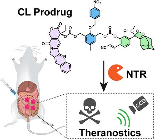 A Nitroreductase-Activated Chemiluminescent Prodrug for Real-Time Monitoring of Camptothecin Release in Peritoneal Metastasis Theranostics